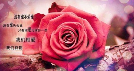 什么样的男人深受富婆相亲网友的喜爱？