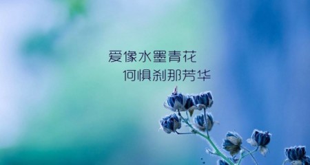 是什么让单身对成都百和情缘婚介所产生了信赖感？